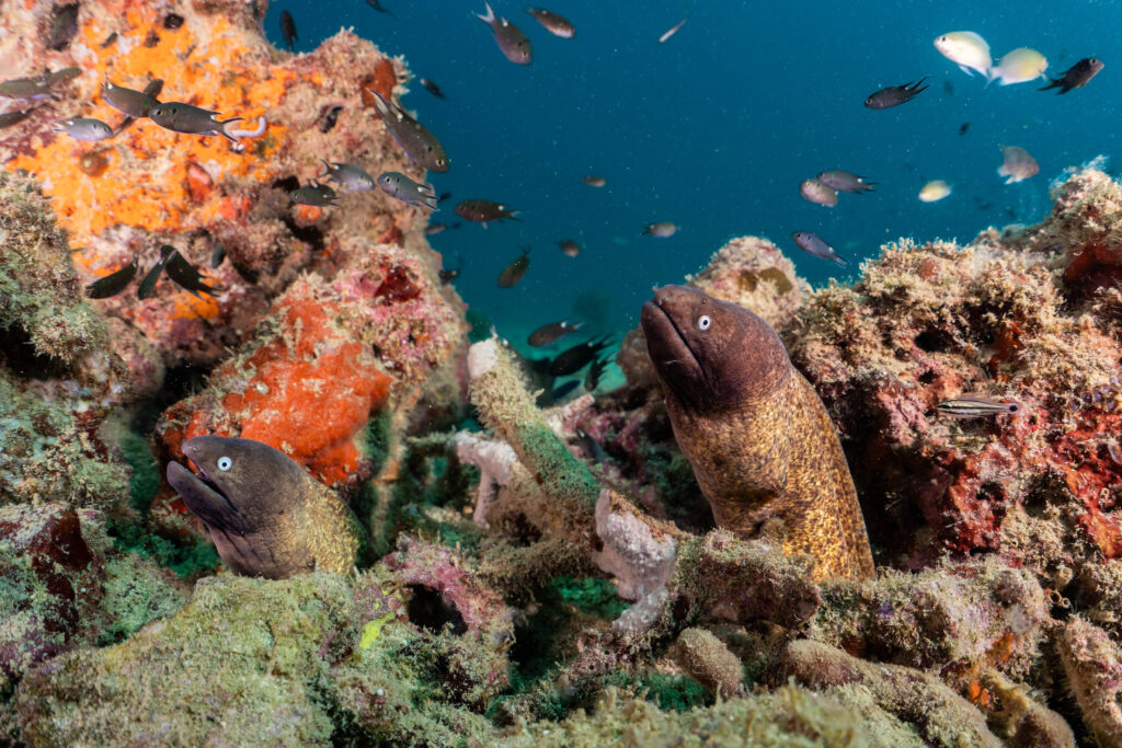 Crystal clear turquoise waters and scenic beaches of Perhentian Islands, Malaysia, the home of YBD Dive Centre.