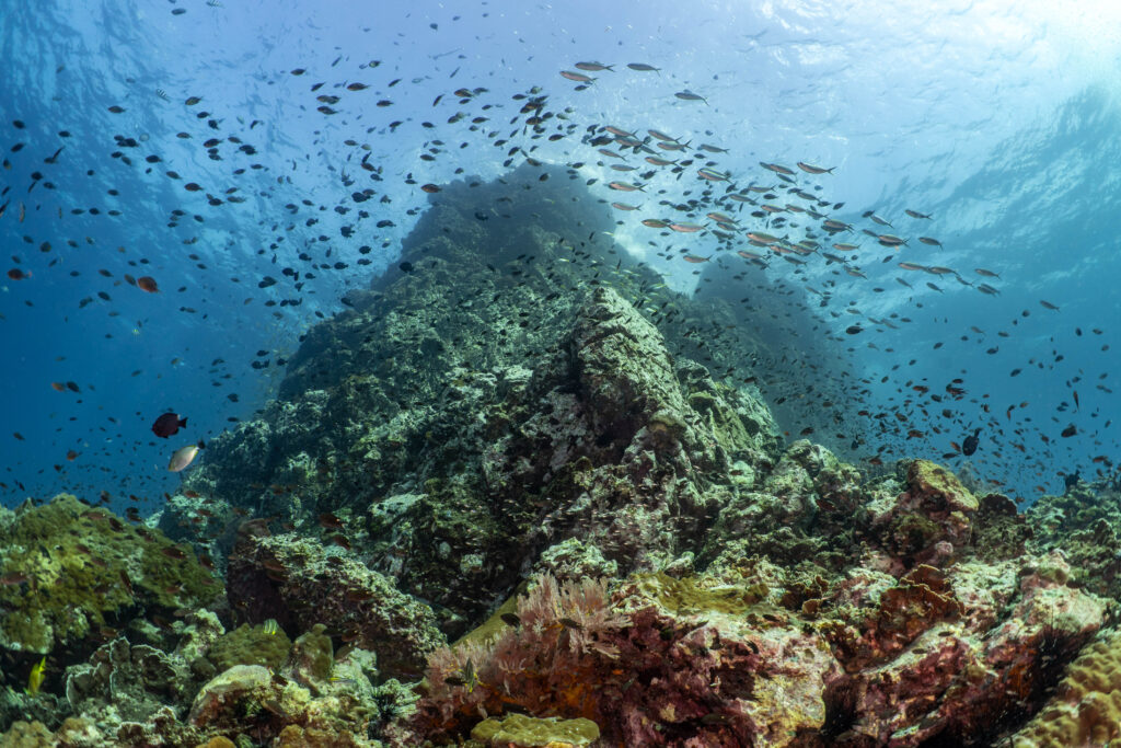 Temple of the Sea dive site